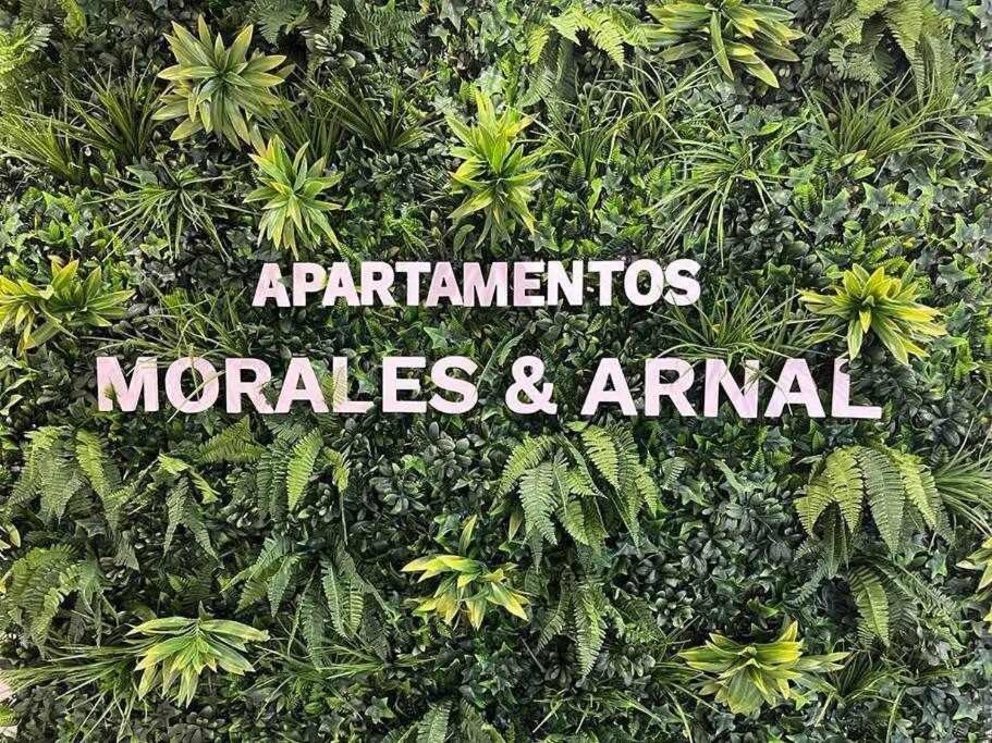 XX D Apartamentos Morales & Arnal Ronda Zewnętrze zdjęcie